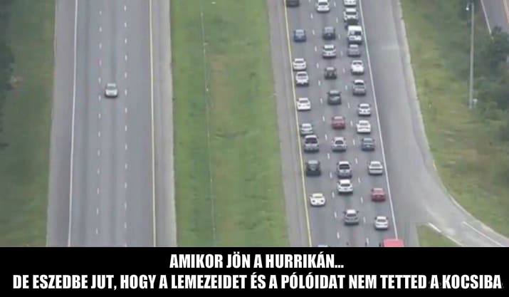 A mindennél fontosabb lemezgyűjtemény