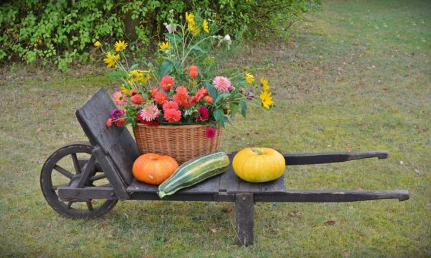 <span class="entry-title-primary">Hálaadás Amerikában</span> <span class="entry-subtitle">Amikor 60 millió ember egyszerre útra kel</span>