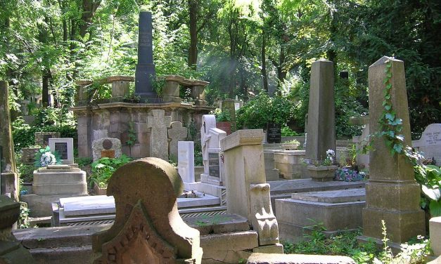 <span class="entry-title-primary">Temetőkertben</span> <span class="entry-subtitle">Katona Judit verse</span>