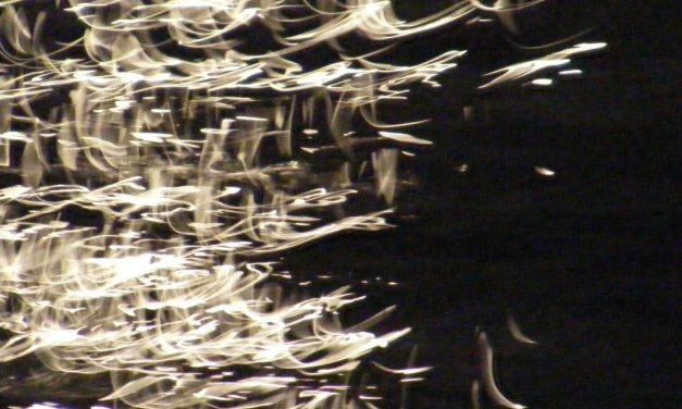 <span class="entry-title-primary">Rézfaszú</span> <span class="entry-subtitle">Tolnai Ottó verse</span>