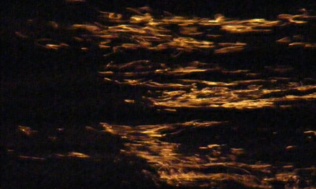 <span class="entry-title-primary">Az égig érő asztag</span> <span class="entry-subtitle">Tolnai Ottó verse</span>