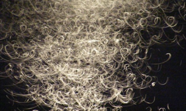 <span class="entry-title-primary">A hófehér bokszkesztyű</span> <span class="entry-subtitle">Tolnai Ottó verse</span>