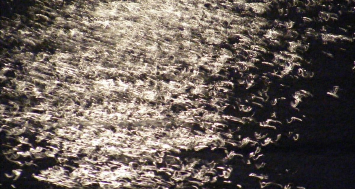 <span class="entry-title-primary">esküvők</span> <span class="entry-subtitle">Vasko Popa verse  a játékok című ciklusból</span>