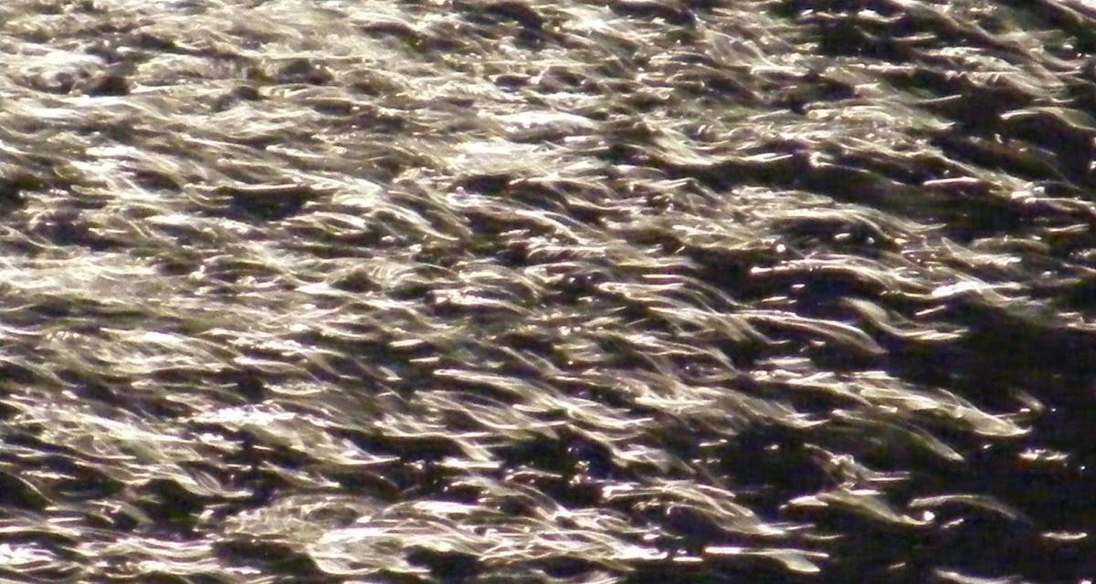 <span class="entry-title-primary">ketten a világmindenségből</span> <span class="entry-subtitle">Nebojsza István verse</span>