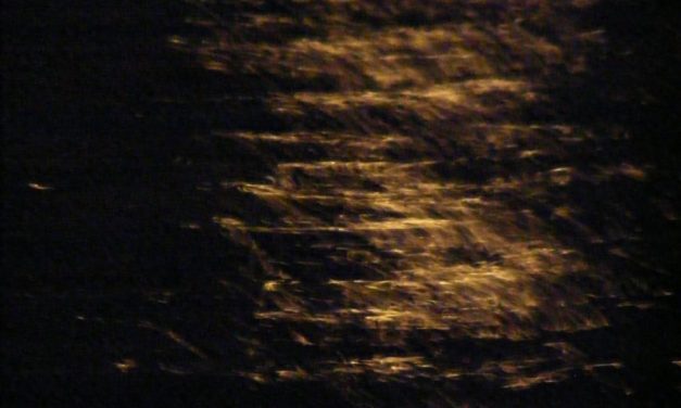 <span class="entry-title-primary">Rigómező</span> <span class="entry-subtitle">Vako Popa verse</span>