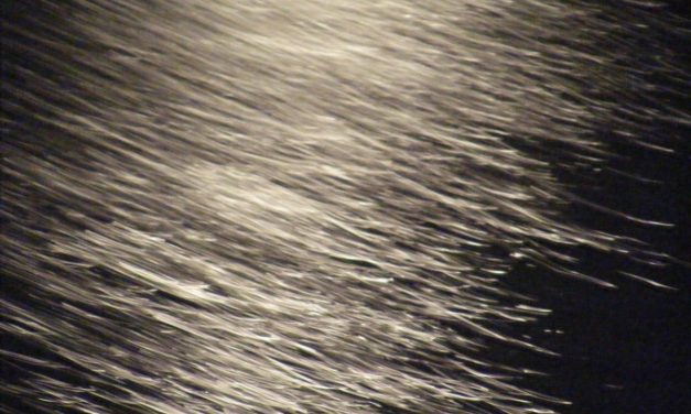 <span class="entry-title-primary">Téli falevél</span> <span class="entry-subtitle">Zelk Zoltán verse</span>