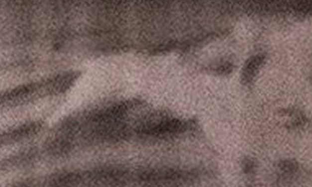 <span class="entry-title-primary">Zentai indiánnyár</span> <span class="entry-subtitle">Horváth Zsolt – Tádé verse</span>