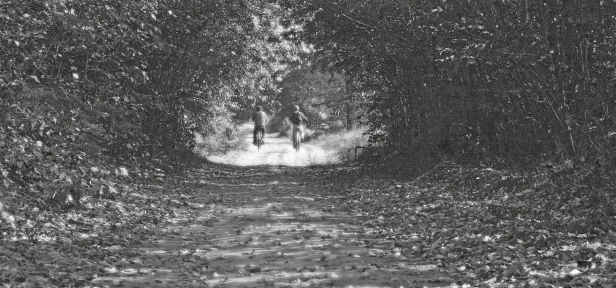 <span class="entry-title-primary">Nem lesz időnk</span> <span class="entry-subtitle">Fischer Mária verse</span>