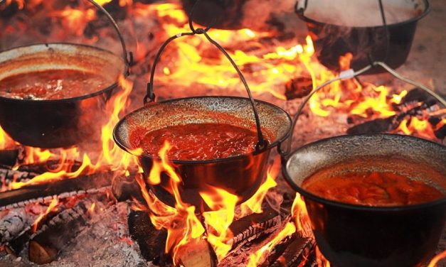 Az öreg halász halpaprikása, Halpaprikás Őméltósága