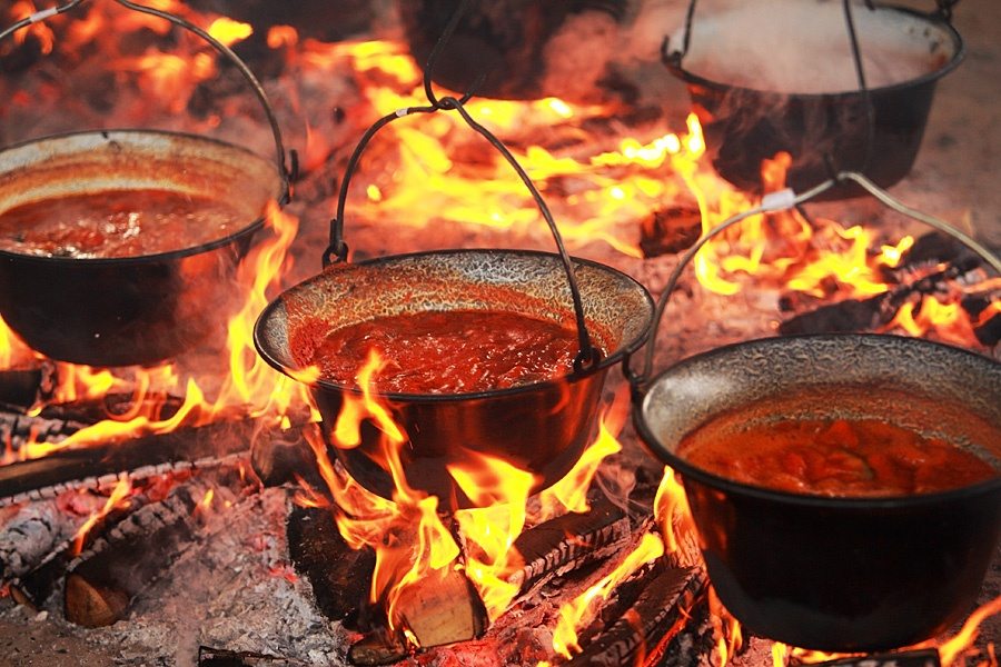 Az öreg halász halpaprikása, Halpaprikás Őméltósága