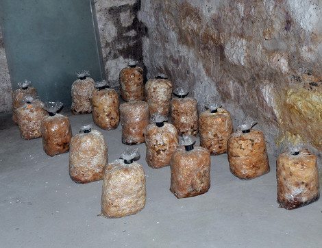 <span class="entry-title-primary">TNT-vel akartak csencselni a fegyvergyár dolgozói</span> <span class="entry-subtitle">A belügyminisztérium adatai szerint 139 embert tartóztattak le a múlt héten</span>