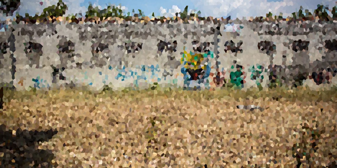 <span class="entry-title-primary">Új időkbe merülve</span> <span class="entry-subtitle">Szent II. János Pál pápa verse Az anya című ciklusból</span>