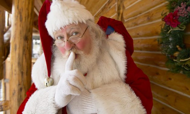 Áltélapó garázdálkodik Szabadkán