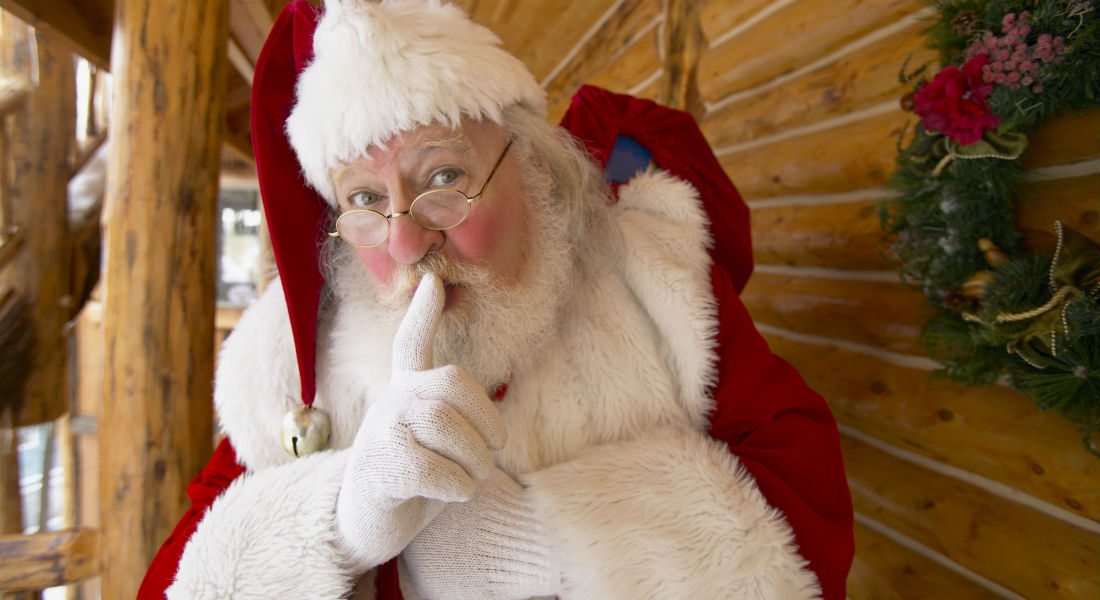 Áltélapó garázdálkodik Szabadkán