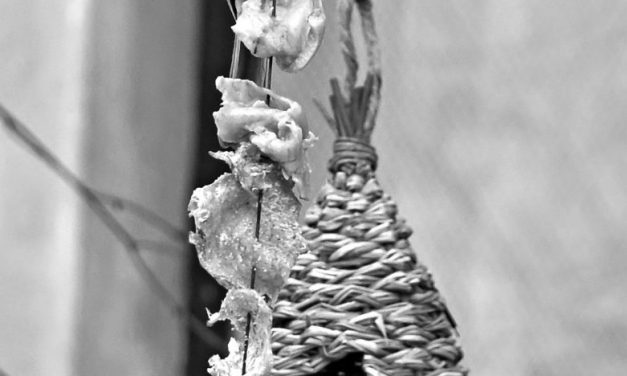 <span class="entry-title-primary">Január</span> <span class="entry-subtitle">Szilágyi Domokos verse</span>