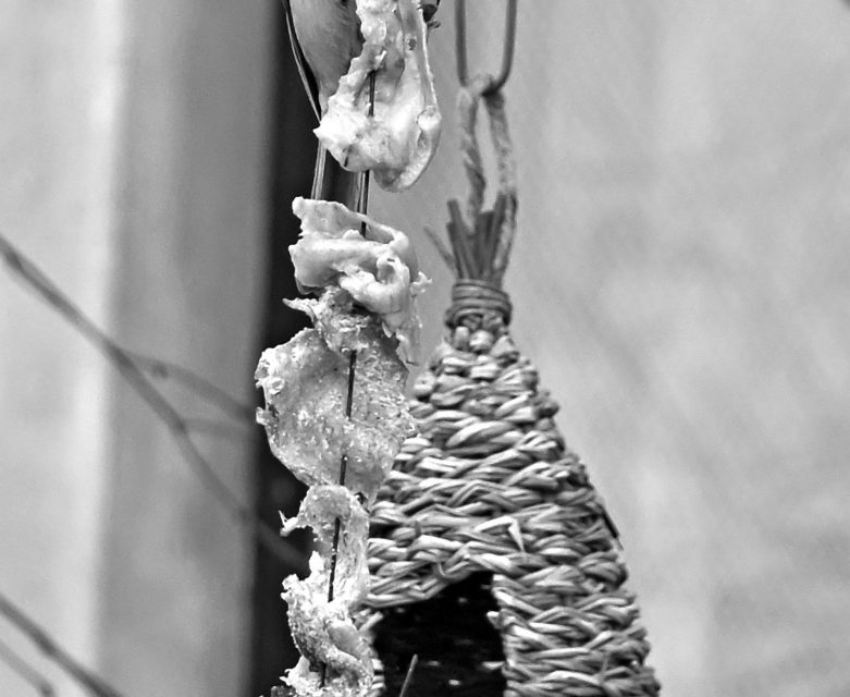 <span class="entry-title-primary">Január</span> <span class="entry-subtitle">Szilágyi Domokos verse</span>