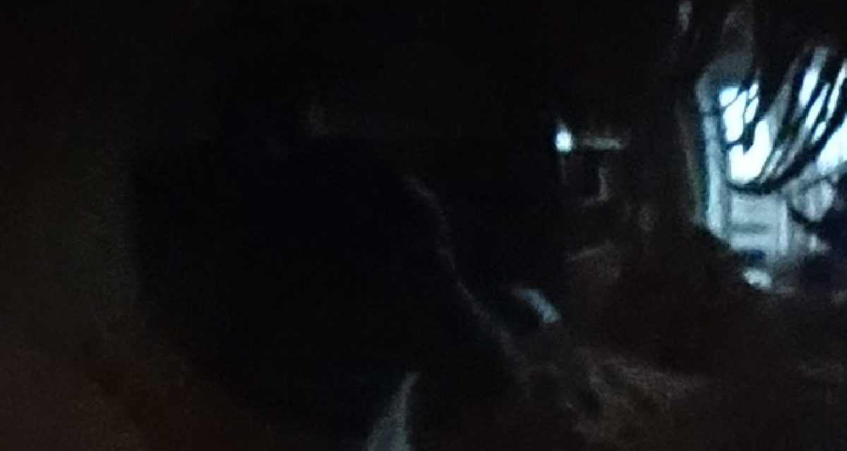 <span class="entry-title-primary">A bűnbak</span> <span class="entry-subtitle">Gulisio Tímea verse</span>