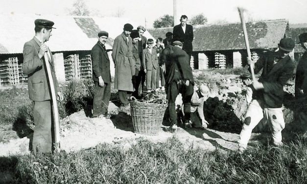 Heimer György: Német jelentés a cservenkai vérengzésről