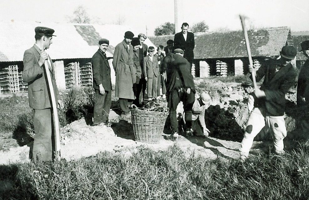 Heimer György: Német jelentés a cservenkai vérengzésről