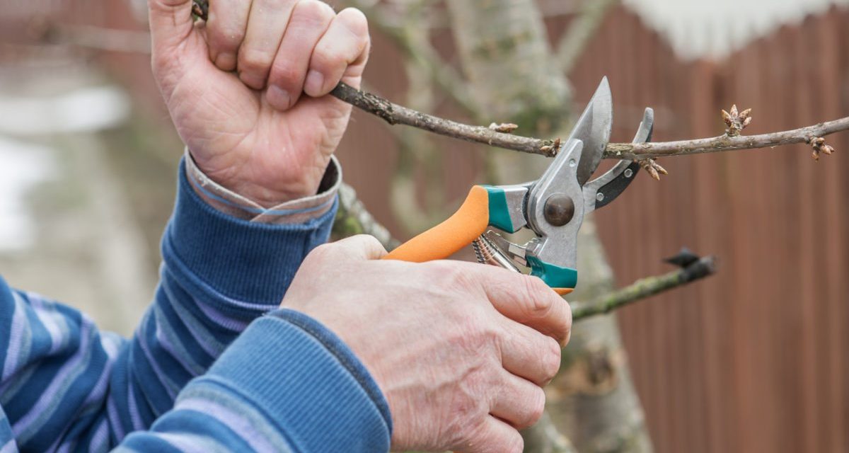 Aggasztó a mezőgazdaság számára a túlságosan enyhe időjárás