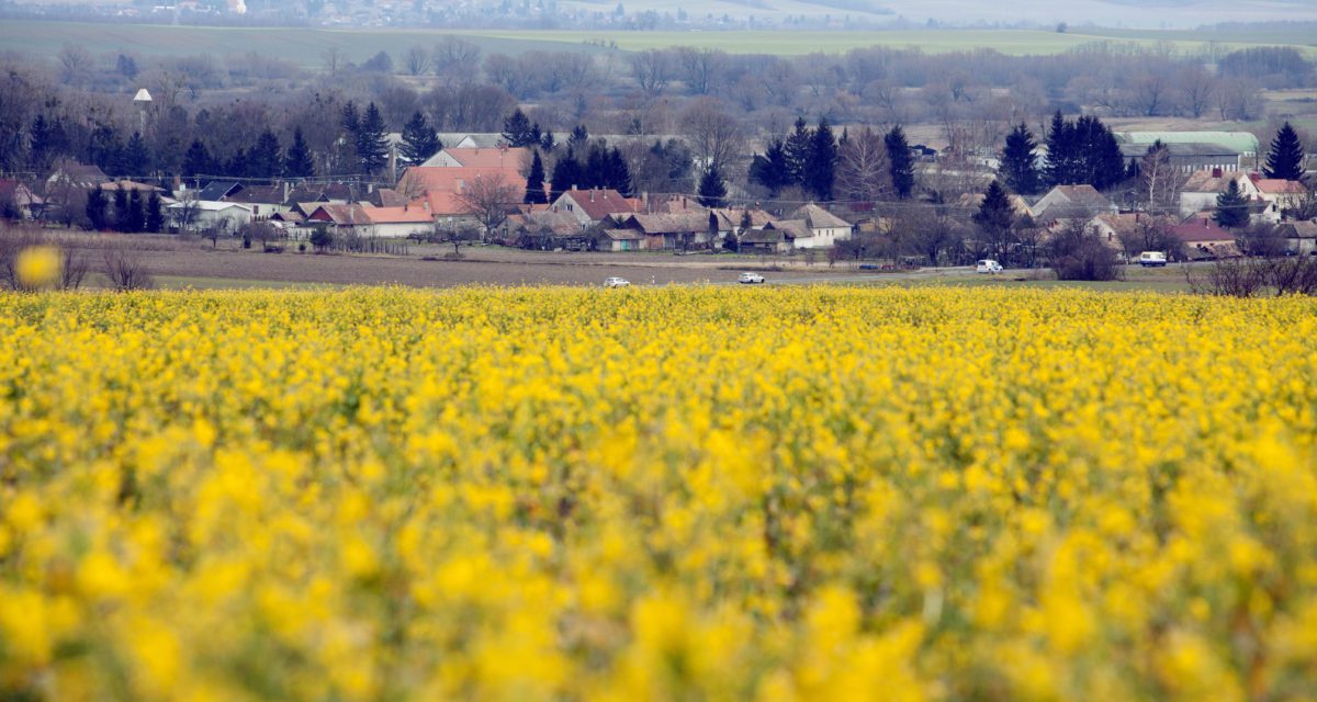 <span class="entry-title-primary">Tartalomjegyzék</span> <span class="entry-subtitle">A Szabad Magyar Szó versrovatának időrendi katalógusa</span>