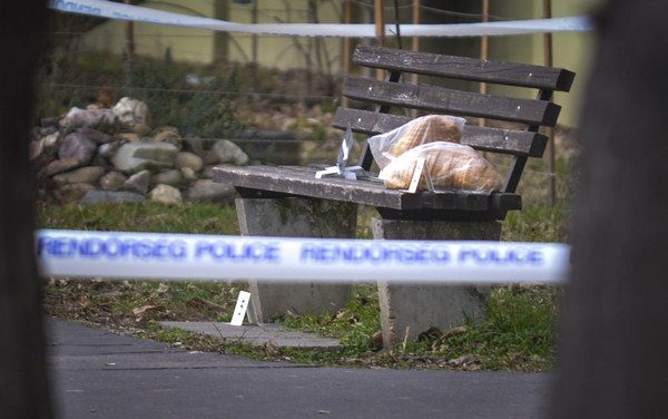 Jogerősen tíz évre ítélték a barátnőjét Szegeden meggyilkoló vajdasági férfit