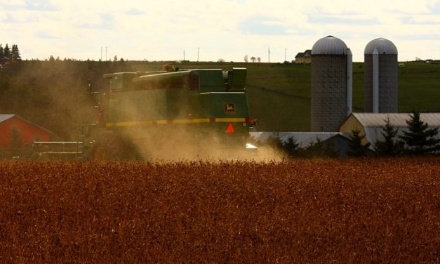 <span class="entry-title-primary">Újabb országok a génmódosított szója ellen</span> <span class="entry-subtitle">Vajdaság élen jár a szójatermesztésben, de Magyarországon is növekszik a vetésterület</span>