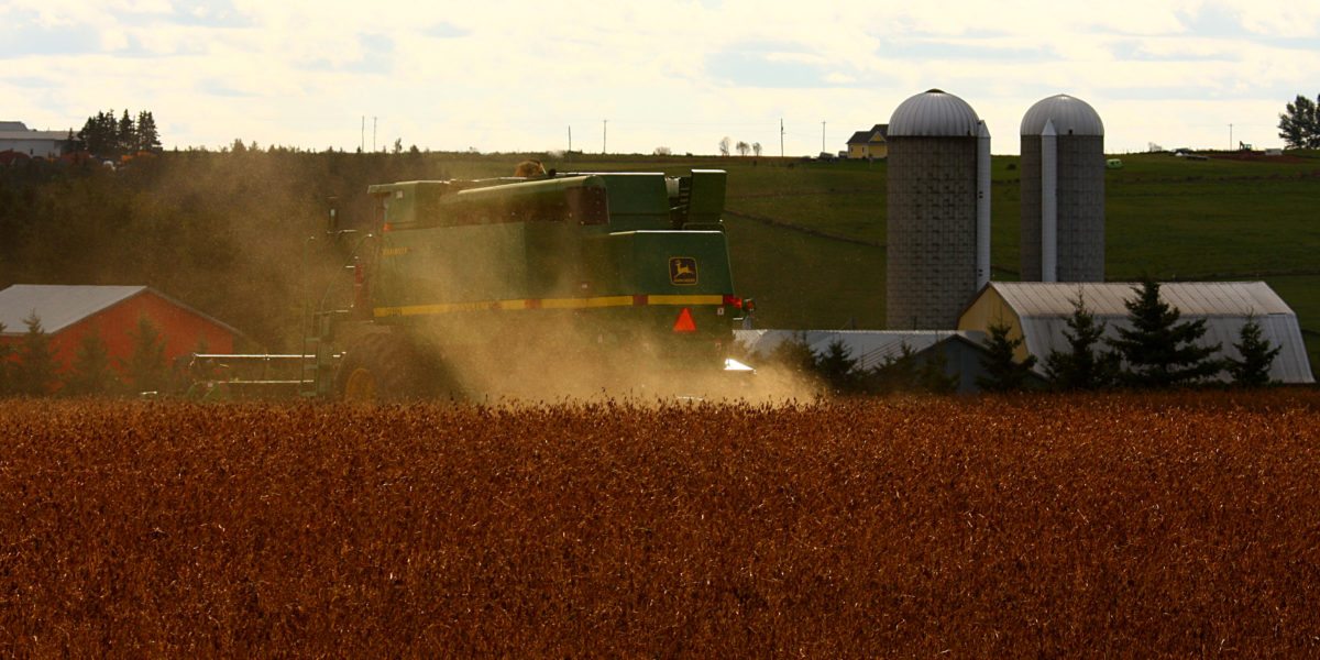 <span class="entry-title-primary">Újabb országok a génmódosított szója ellen</span> <span class="entry-subtitle">Vajdaság élen jár a szójatermesztésben, de Magyarországon is növekszik a vetésterület</span>