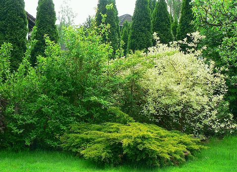 <span class="entry-title-primary">Régi poéta</span> <span class="entry-subtitle">Áprily Lajos verse</span>