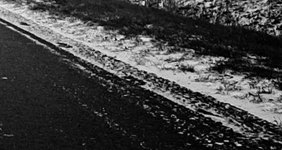 <span class="entry-title-primary">A neon és füst városai</span> <span class="entry-subtitle">Petar Pajić verse</span>