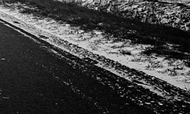 <span class="entry-title-primary">A neon és füst városai</span> <span class="entry-subtitle">Petar Pajić verse</span>