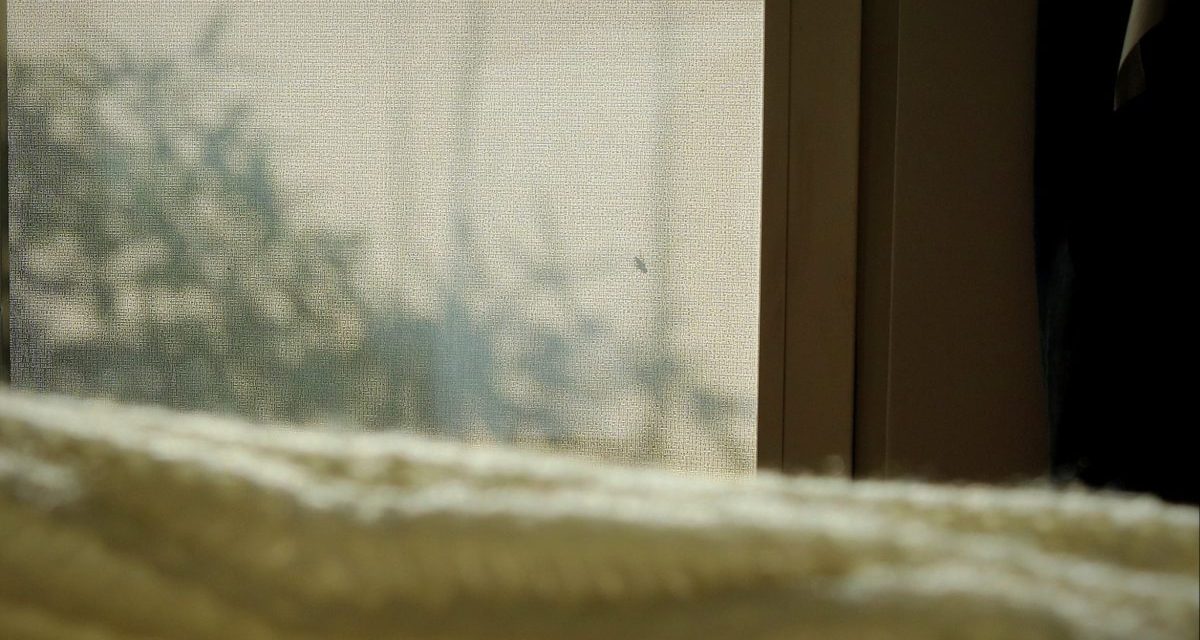 <span class="entry-title-primary">Szerelmes vers I</span> <span class="entry-subtitle">Dömötör László verse</span>