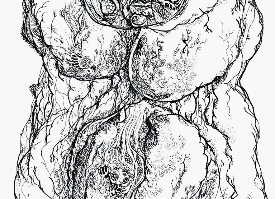 <span class="entry-title-primary">Nature morte</span> <span class="entry-subtitle">Domonkos István verse</span>