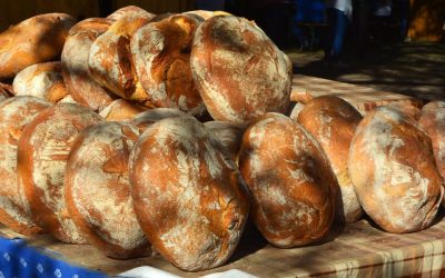 „Nem stadionra, hanem húsra, tejre, kenyérre van szükségünk” A gazdák szerint az EXPO-ból jutna az aszálykárok enyhítésére is