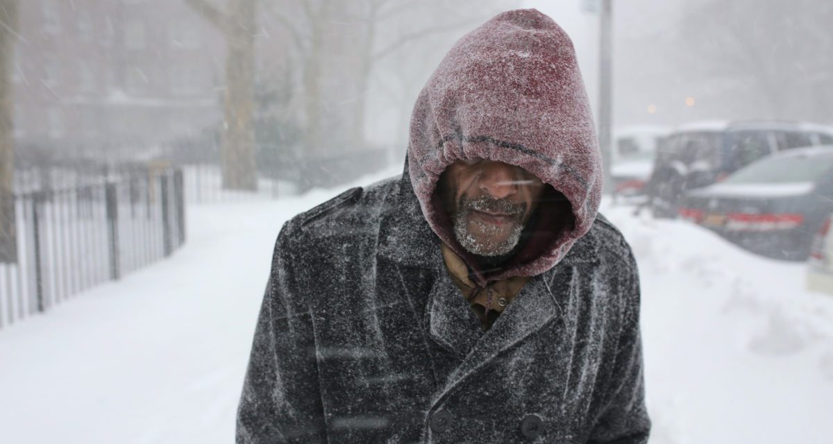 Grecsó Krisztián: Te tetted ezt, király