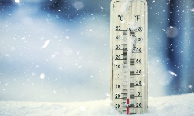 A valaha mért legmelegebb január volt az idei