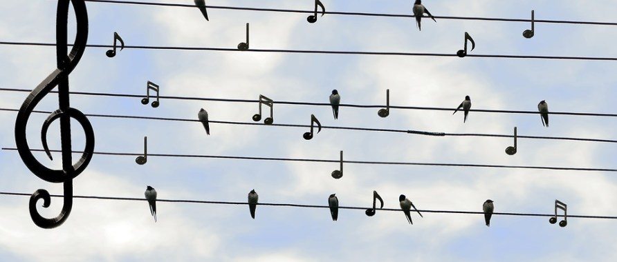 <span class="entry-title-primary">A Magyar Szó esete: Kifizetődik az alázatosság az újságírásban</span> <span class="entry-subtitle">A szerb Voice című internetes portál elemzése a vajdasági magyarság egyetlen közszolgálati napilapjáról</span>