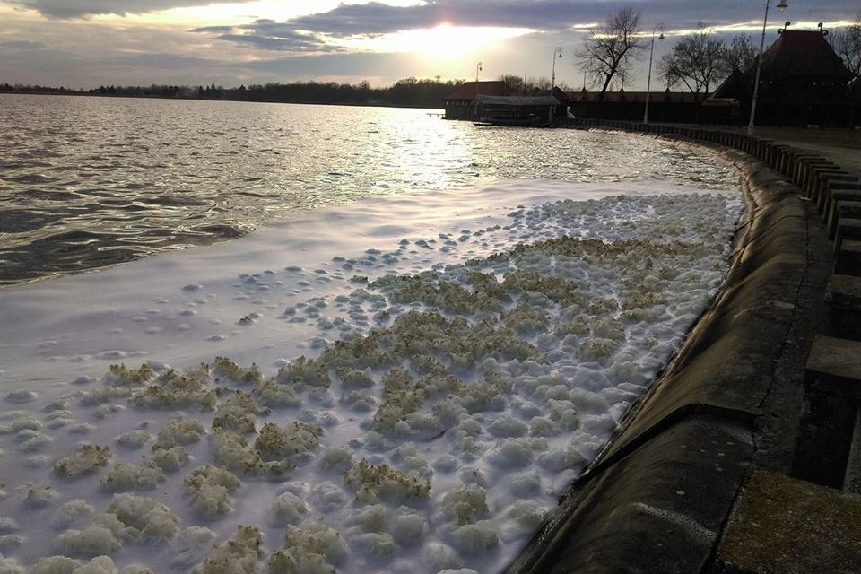 <span class="entry-title-primary">Egy lépés előre, hét lépés hátra</span> <span class="entry-subtitle">A Palicsi-tó vízminősége ma rosszabb, mint 2010-ben volt</span>