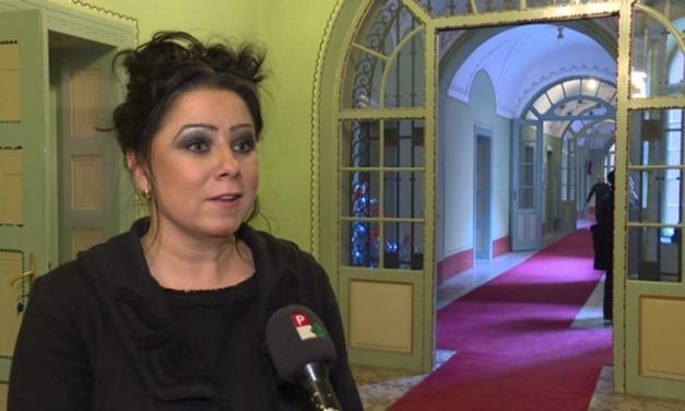 Szabadka: Napirenden Horvát Tímea igazgatói kinevezése