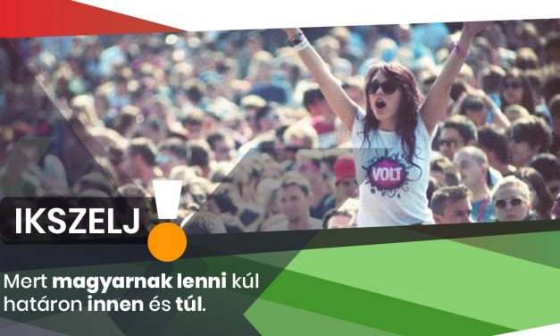 <span class="entry-title-primary">Vajdaságban aktivisták gyűjtik majd a szavazatokat</span> <span class="entry-subtitle">Közelegnek a választások – egyesek szerint minden megengedett</span>