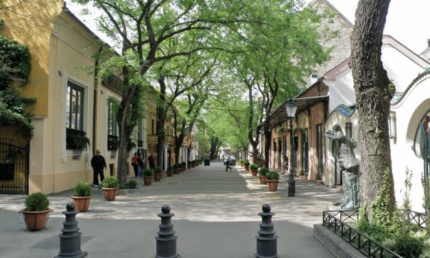 <span class="entry-title-primary">Szabadkai szoborállítás: 1300 euróba került a rendkívüli ülés</span> <span class="entry-subtitle">Kalmár Zsuzsa: A szobrot ki készíti, hogyan fog kinézni?</span>