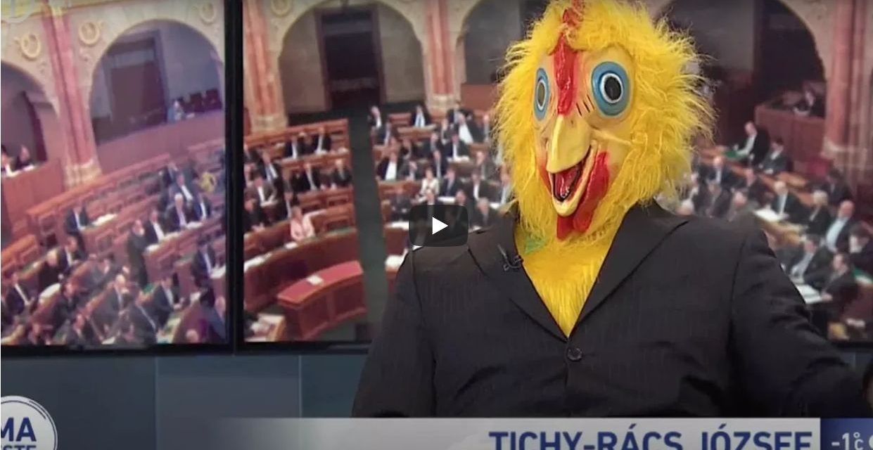 A kutyapártos csirke ingyen sört ígért (VIDEÓ)