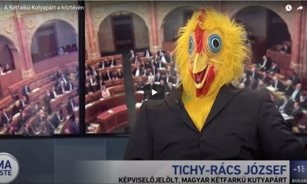 A kutyapártos csirke ingyen sört ígért (VIDEÓ)