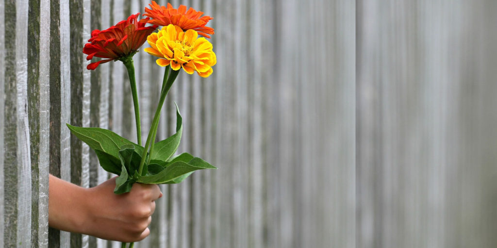 <span class="entry-title-primary">A vér bódító szava(zata)</span> <span class="entry-subtitle">Egy kampánylózung álnokságáról</span>