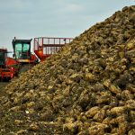 Több tonna répa szóródott szét a Tisza-hídon (videóval)