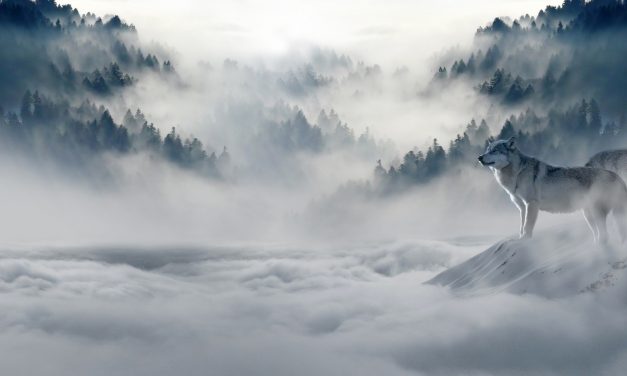 <span class="entry-title-primary">Erdők Nemzetközi Napja</span> <span class="entry-subtitle">A fák élete az emberiség élete is</span>