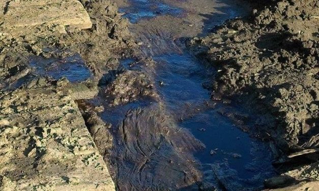 Völgyes: Környezetszennyezést okozott a kőolaj (FOTÓGALÉRIA)