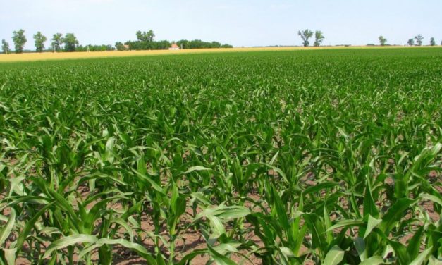 350 millió dinár a mezőgazdasági földterületek fejlesztésére