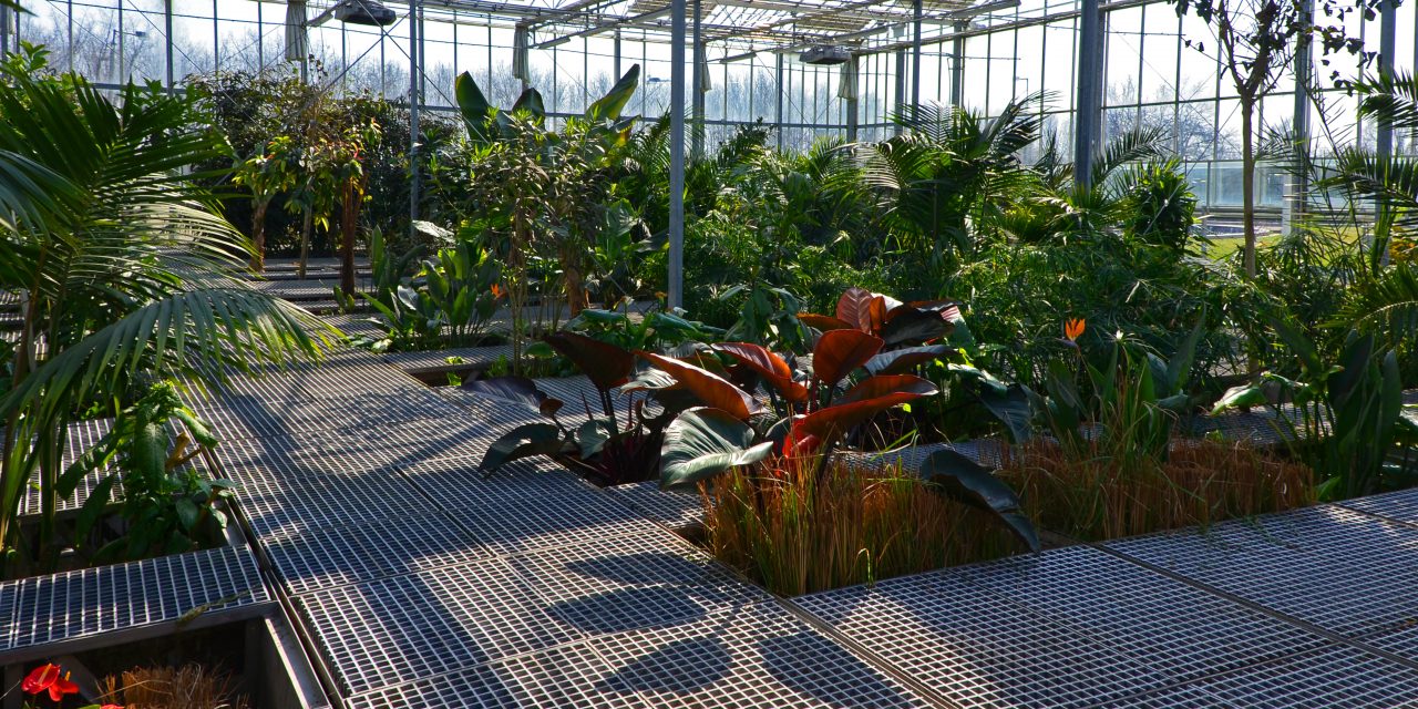 <span class="entry-title-primary">Üvegház-hatás</span> <span class="entry-subtitle">Hogyan tisztítsunk szennyvizet rózsával és banánnal</span>