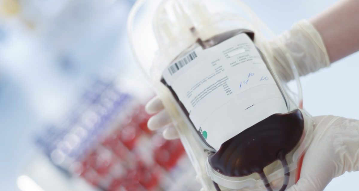 Várják a vajdasági véradókat